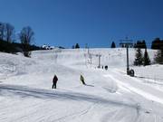 Licht terrein bij Mittenwald