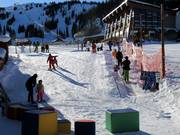 Tiny Tiger Carpet - Transportband/Moving Carpet