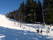 Bühlertallift 2 - Sleeplift met T-beugel/Ankerlift