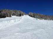 Zwarte piste Sergerwiese