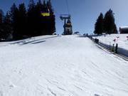 Oefenweide in het Kinderland met transportband