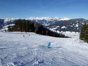 Gemakkelijke familie-afdaling