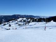 Gebied rond het middenstation