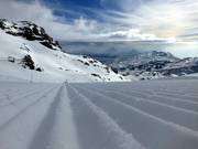 Perfect geprepareerd!