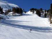 Bosrijke afdalingen in het onderste gedeelte van de Zehnerkar