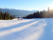Makkelijke piste Schoolhouse