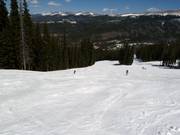 Dalafdaling Mary Jane