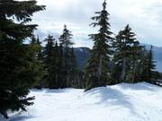 Moeilijke bosafdaling