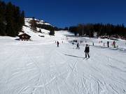 Oefenweide Arnouva met transportband