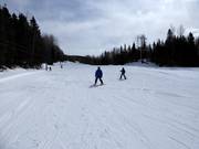 Oefenweide met eigen sleeplift bij het dalstation