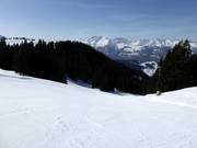 Schwendipiste met panorama