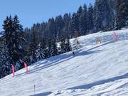 Snelheidsmeettraject: Hexenschuss bij de Siller-Keat in Söll