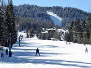 Gemakkelijke piste Beginner bij de Silver Platter