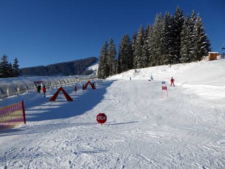 Skigebieden voor beginners in Zell am See-Kaprun – Beginners Schmittenhöhe – Zell am See