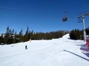 Gemakkelijke piste Nybegynnerbakken