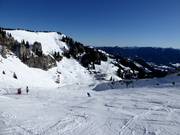 Uitzicht vanaf de Idealhang op de Brauneck