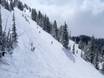 Skigebieden voor gevorderden en off-piste skiërs Salt Lake City – Gevorderden, off-piste skiërs Brighton
