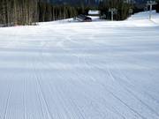 Breed en perfect geprepareerd