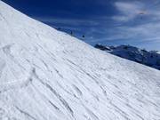 Diep-sneeuwhelling bij de Metschstand