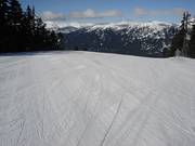 Perfect geprepareerde piste