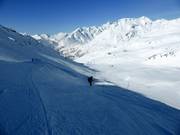 Fallbichlafdaling (rood)