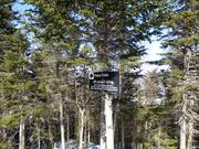 Zeer populair zijn de afdalingen door uitgedunde bossen (Gladed Runs)