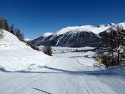 Makkelijke Mountys Avonturenpiste in Celerina