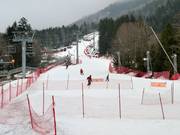 Gemakkelijke piste van de Planards
