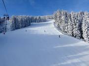 Stephan Eberharter Goldpiste naar het middenstation