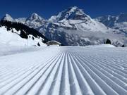 Perfecte pistes met uitzicht op de Eiger, Mönch en Jungfrau