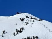 Buckelpistes bij de Challenger