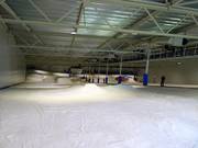 De hoofdafdaling met obstakels