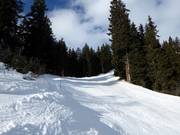 Zwarte dalafdaling naar Disentis