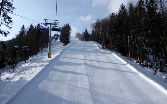Skigebieden voor gevorderden en off-piste skiërs Schlesische Beskieden – Gevorderden, off-piste skiërs Szczyrk Mountain Resort