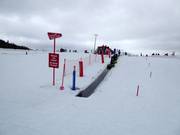 Oefenweide met transportband bij het dalstation