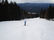 Anderhalve kilometer slingert de piste door een bosrijke doorgang