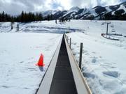 De transportband Jelly Bean