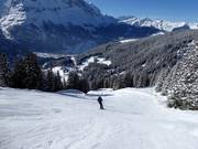 Moeilijke piste nr. 5 Bort direkt