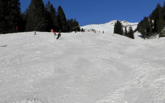 Skigebieden voor beginners in het Haslital – Beginners Meiringen-Hasliberg