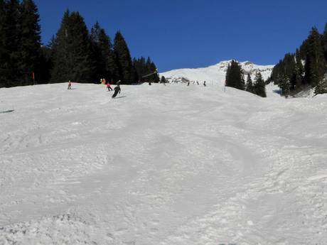 Skigebieden voor beginners in de Urner Alpen – Beginners Meiringen-Hasliberg