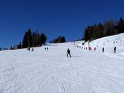 Oefenhelling bij de sleeplift Bidner