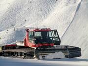 De pistebully wacht op zijn volgende inzet