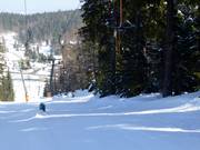 Skilift Notschrei 2 - Sleeplift met T-beugel/Ankerlift