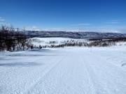 Piste nr. 15 Direkten