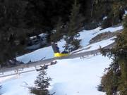 Tip voor de kleintjes 