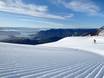 Nieuw-Zeeland: beoordelingen van skigebieden – Beoordeling Treble Cone