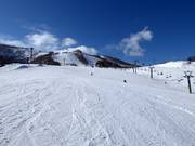 Dalafdaling Kogen (Grand Hirafu)