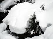 Voldoende natuursneeuw is de norm in Espace Diamant