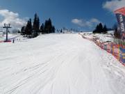 De gemakkelijke piste van Witów