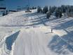 Snowparken Pillerseetal – Snowpark Buchensteinwand (Pillersee) – St. Ulrich am Pillersee/St. Jakob in Haus/Hochfilzen